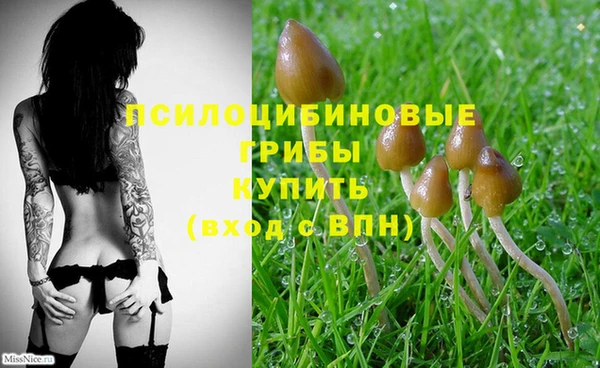 гашиш Нягань