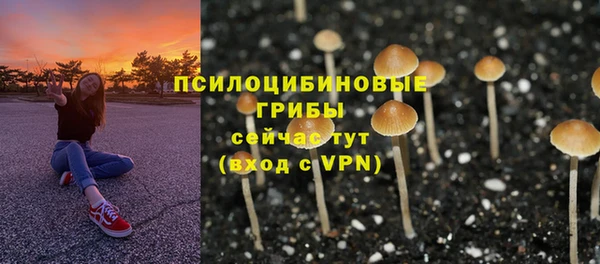 Альфа ПВП Нязепетровск