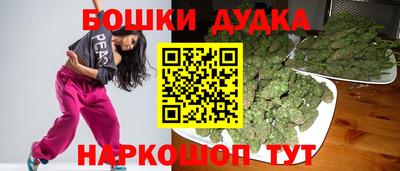крисы Гай