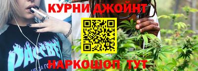 крисы Гай