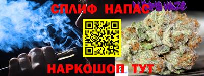 крисы Гай