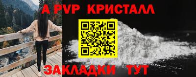 крисы Гай