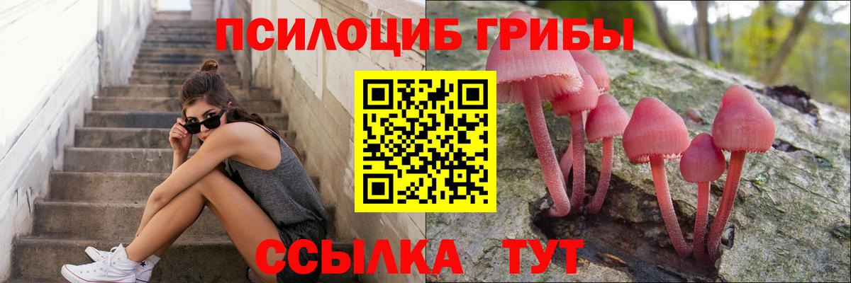 Галлюциногенные грибы GOLDEN TEACHER  хочу   Балахна  Вход с VPN 