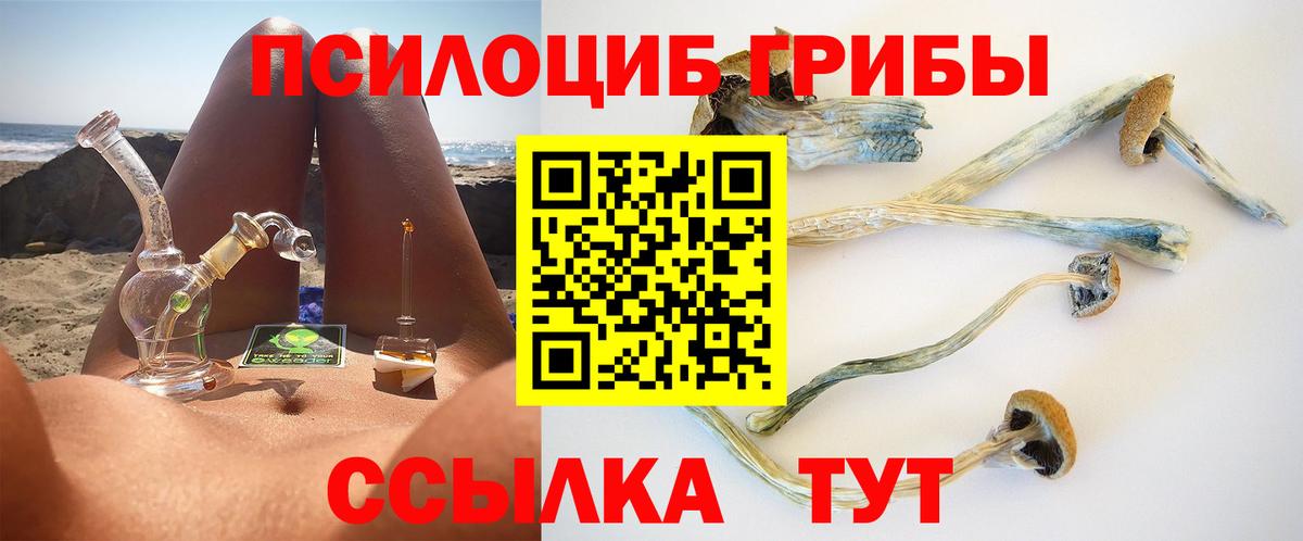 Галлюциногенные грибы Psilocybine cubensis Балахна